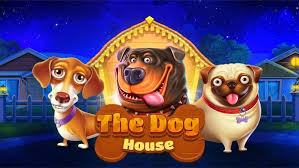 Dog House 7signs casino slot